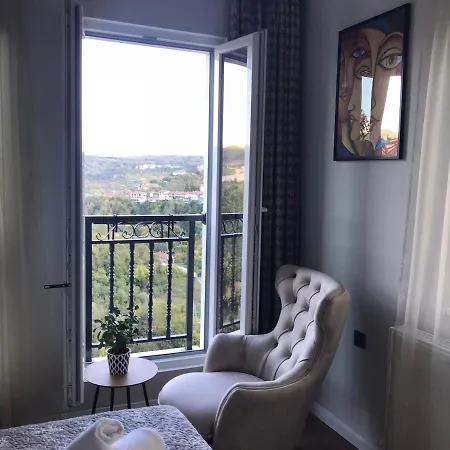 Tsarevets Panorama 大特尔诺沃